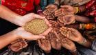 Dünya gıda kriziyle başa çıkma yolunda: Hükümet zirvesi çözüm arayışında