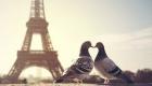 Saint-Valentin : voici les villes les plus romantiques de France selon un sondage