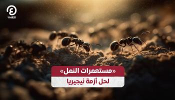 نيجيريا تضطر إلى حل غريب لأزمة الغذاء