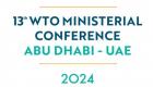 الإمارات تقود دفة التجارة العالمية.. أجندة استثنائية للمؤتمر الوزاري الـ13 