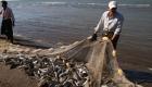 مصايد الأسماك المصرية في مواجهة مزدوجة مع المناخ.. ما دور قناة السويس؟
