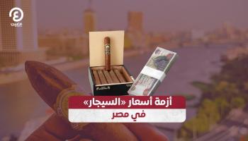 أزمة أسعار «السيجار» في مصر