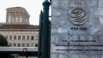 دول أفريقية تدعو منظمة التجارة العالمية إلى إنقاذ قطاع القطن