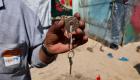 مفاتيح منازل غزة المُدمَّرة.. رمز جديد لـ«حق العودة» (صور)
