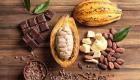 Dünyada en çok kakao üreten ülkeler!
