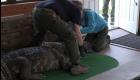 New York: un alligator de 3 mètres vit dans une maison depuis 30 ans avec un homme 