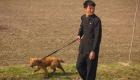 حظر جديد في كوريا الشمالية.. الكلاب الأليفة «برجوازية»