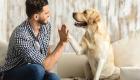 Köpekler insan konuşmasını gerçekten anlıyor mu?