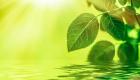 «الأمن المناخي».. حلم أخضر يتلاشى في المجتمعات الهشة 