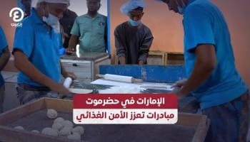 الإمارات في حضرموت.. مبادرات إنسانية تعزز الأمن الغذائي