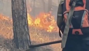 Venezuela : Les pompiers mènent une bataille acharnée contre les incendies de forêt