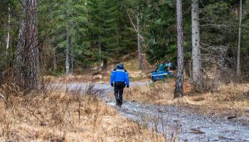 Image d'illustration