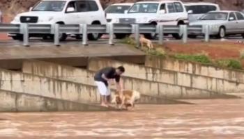 الشاب أثناء إنقاذ الكلب