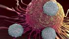 المضادات الحيوية تكشف طريقة جديدة لمكافحة السرطان