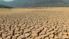 İklim krizi büyüyor: Acil durum ilan edildi