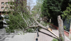Ankara ve Konya'da fırtına: Çatılar uçtu, ağaçlar devrildi