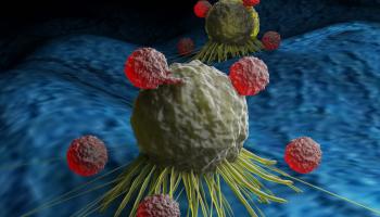 الخلايا التائية تهاجم الخلايا السرطانية