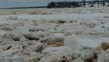 Russie : Dérive des glaces sur la rivière Dvina Septentrionale 