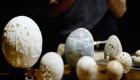 «البيض المنحوت».. أعمال فنية صينية مميزة (فيديو)