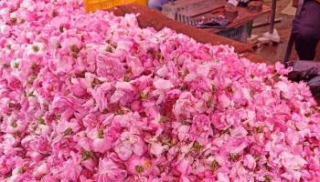 سوق بيع الورد في القيروان