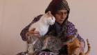 گزارش تصویری | پیرزنی که زندگی خود را وقف گربه‌ها کرد!