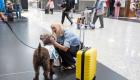 Terapi köpekleri, İstanbul Havalimanı'nda iş başında 