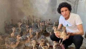 يوسف "أصغر مربي للنعام بمصر"