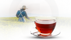 2023'te En Çok Çay Üreten 10 Ülke