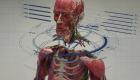 پیوند سر انسان به بدن دیگر؛ هوش مصنوعی مرزهای پزشکی را جابجا می‌کند! (+ویدئو)