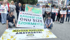İstanbul, Ankara ve Alanya'da sokak hayvanları için eylem