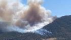 Urla'da orman yangını uçak ve helikopterler bölgede 