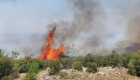 Çanakkale, İzmir ve Manisa'da yangın: Alevler büyüyor