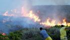Aydın Didim’de yangına müdahale eden uçak, Bafa Gölü'ne düştü