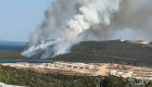 İzmir Mordoğan’da orman yangını çıktı