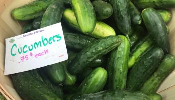 الخضروات من الأطعمة المرطبة