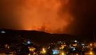 Diyarbakır'da orman yangını 3 can aldı