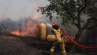 Yunanistan'da orman yangını: Köyler tahliye edildi