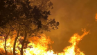 Adıyaman Gerger'de yangın: Havadan ve karadan müdahale sürüyor