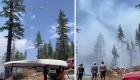 İzmir, Balıkesir ve Karaman'da orman yangınları