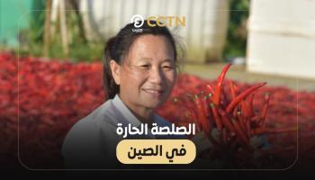 الفلفل أبرز مكونات الصلصة الحارة في الصين 