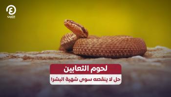 اقتراح بالتوسع في أكل لحوم الثعابين