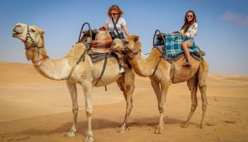 Rencontre inattendue : Une bande de chameaux déambule sur la route dans le désert de l'Algérie