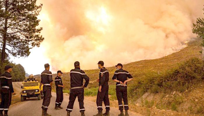 Violents incendies à Tizi Ouzou