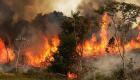  Nouveaux incendies à Tizi Ouzou : Une mobilisation générale pour contenir les flammes