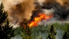 بلایی که آتش‌سوزی در جنگل‌های کانادا بر سر محیط‌زیست آورد
