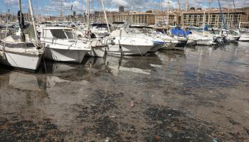 Vidéo. Marseille : Plages polluées, Vieux-Port inondé, pourquoi c’est toujours la même histoire ?