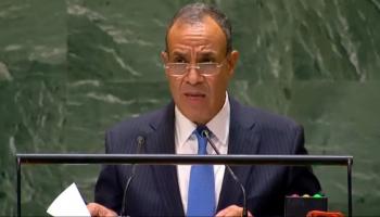 وزير الخارجية المصري بدر عبدالعاطي