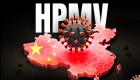 Ce que l'on sait sur le virus respiratoire HPMV en hausse en Chine