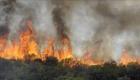 Algérie-Tunisie : Une alliance renforcée contre les incendies de forêt