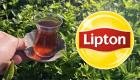 Lipton Türkiye’den çekildi mi? Tesisleri devralan Öz-Gür Çay’dan açıklama